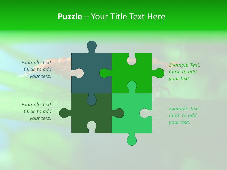 Red Shrimp PowerPoint Template