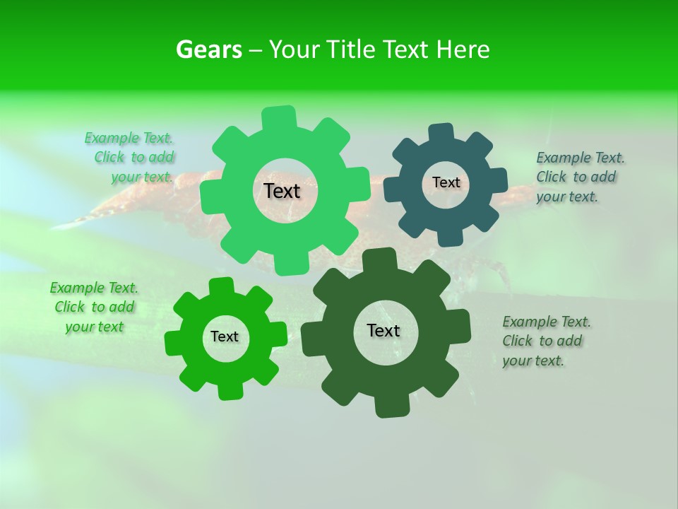 Red Shrimp PowerPoint Template