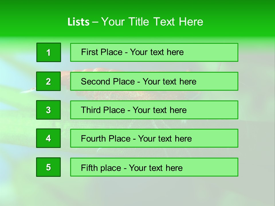 Red Shrimp PowerPoint Template