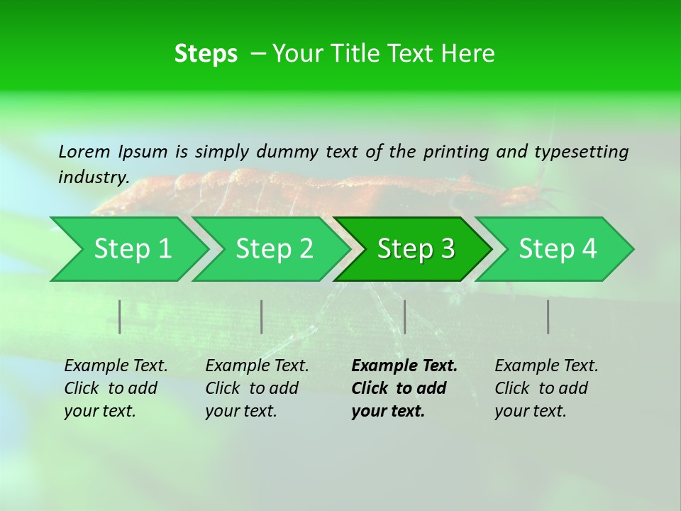 Red Shrimp PowerPoint Template