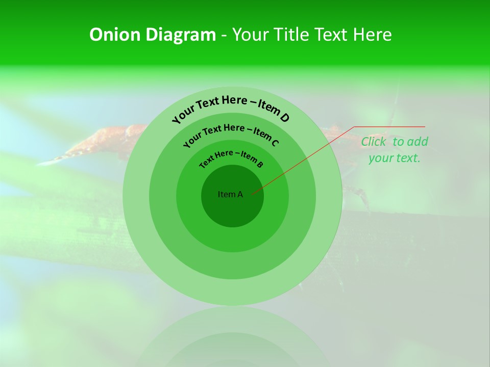 Red Shrimp PowerPoint Template