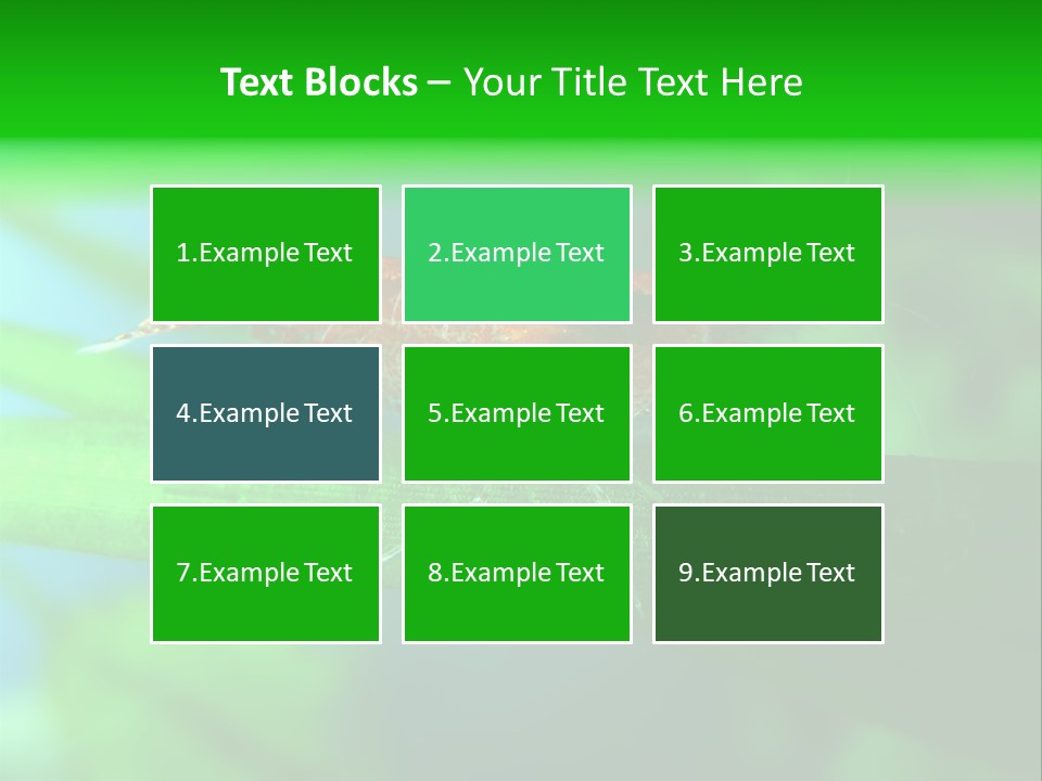 Red Shrimp PowerPoint Template