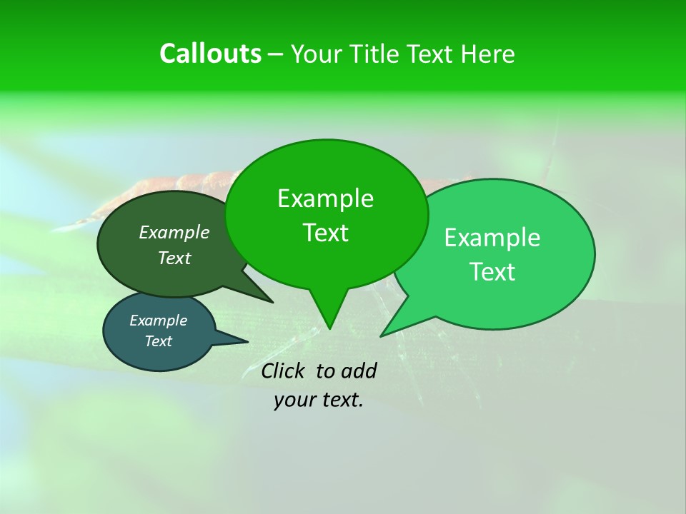 Red Shrimp PowerPoint Template