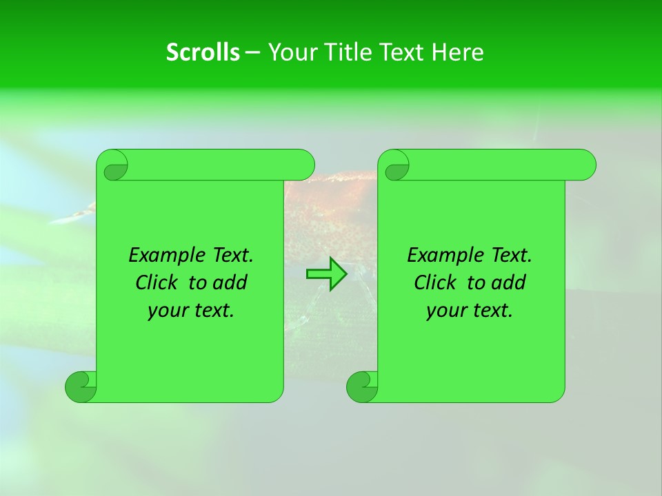 Red Shrimp PowerPoint Template