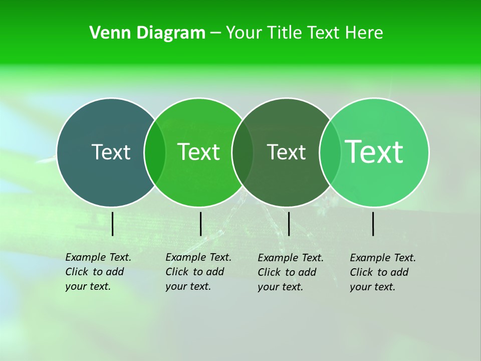 Red Shrimp PowerPoint Template