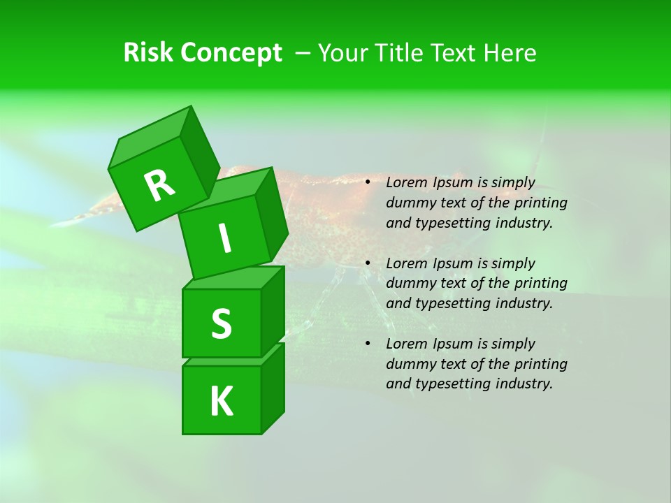 Red Shrimp PowerPoint Template