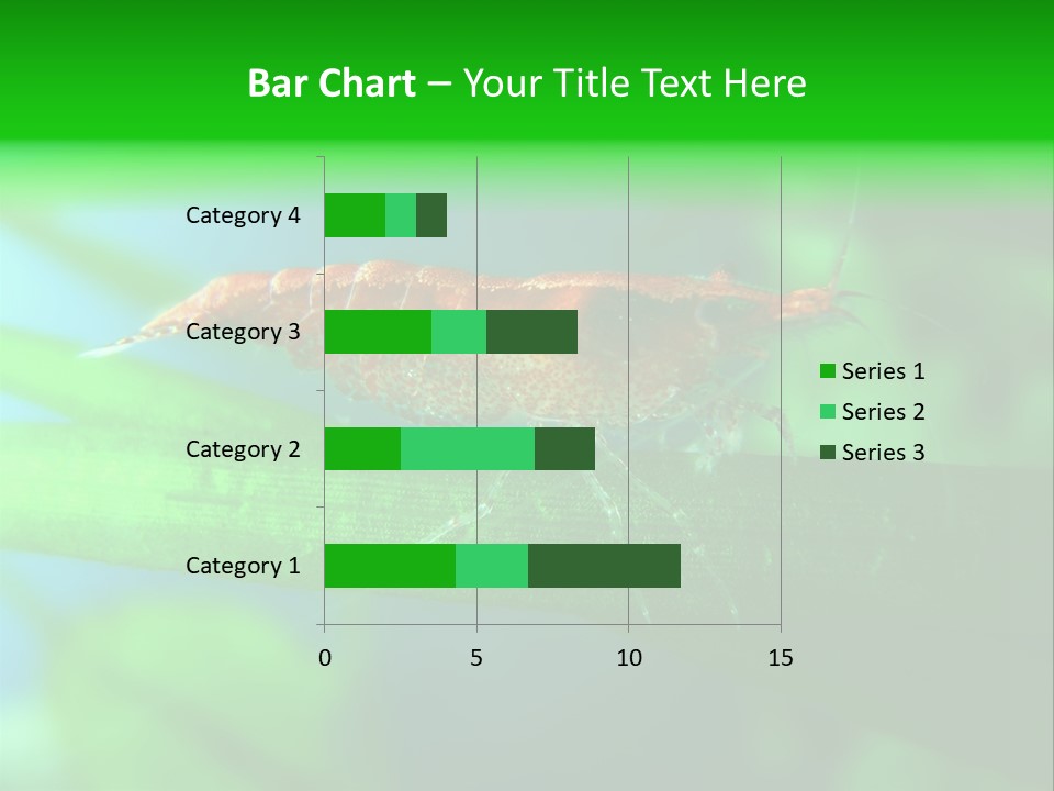 Red Shrimp PowerPoint Template