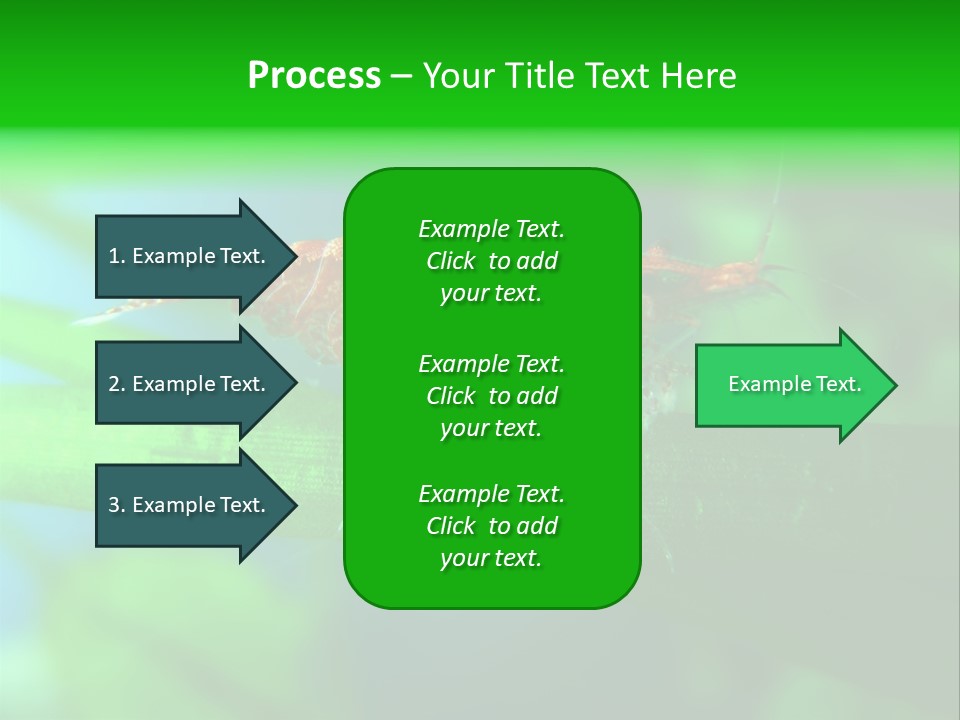 Red Shrimp PowerPoint Template