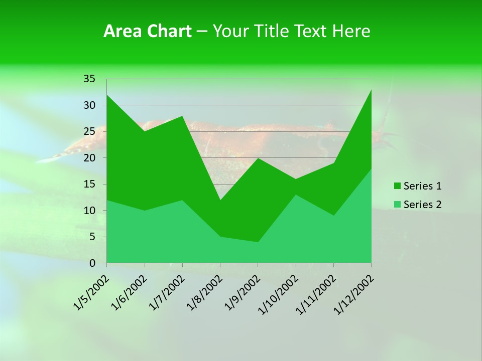 Red Shrimp PowerPoint Template