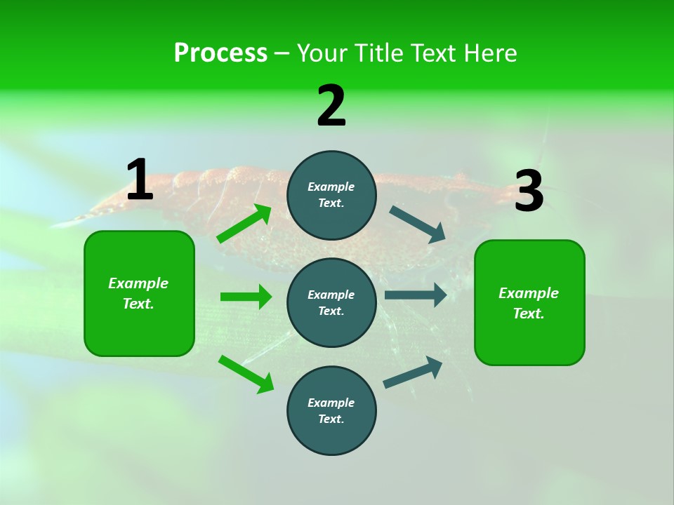 Red Shrimp PowerPoint Template