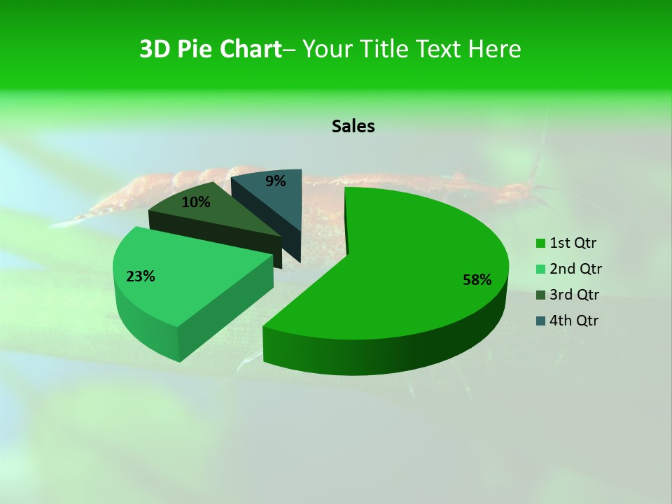 Red Shrimp PowerPoint Template