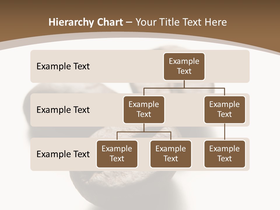 3 Roasted Coffee On White PowerPoint Template