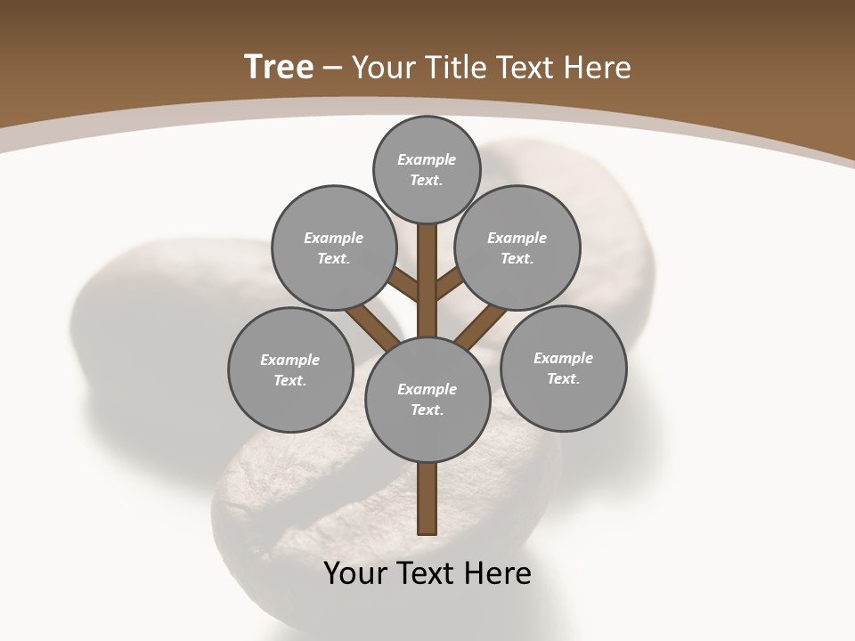 3 Roasted Coffee On White PowerPoint Template