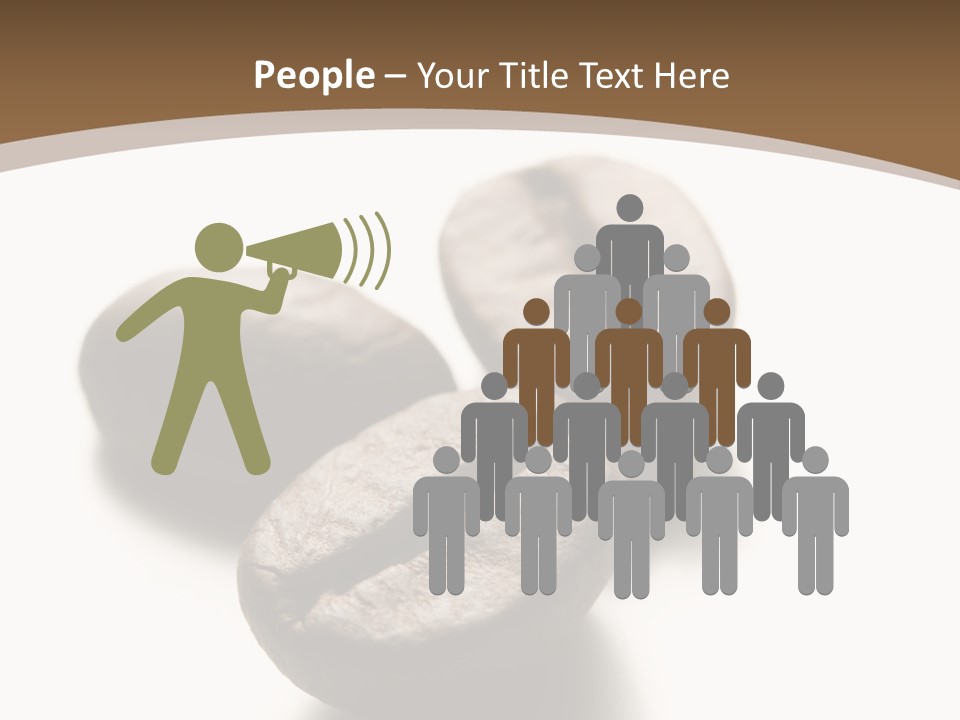 3 Roasted Coffee On White PowerPoint Template