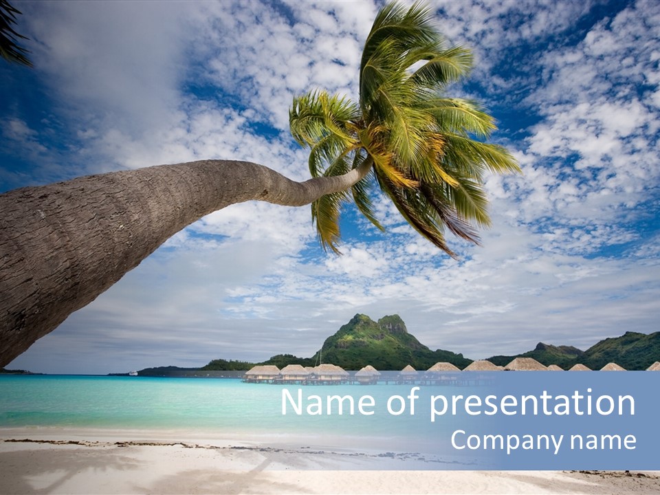 Beach Resort In Bora Bora Lagoon Waters With Hanging Palm Tree PowerPoint Template