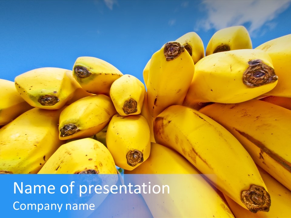 Bananas PowerPoint Template