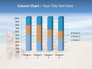 Waves Enjoyment Beach PowerPoint Template