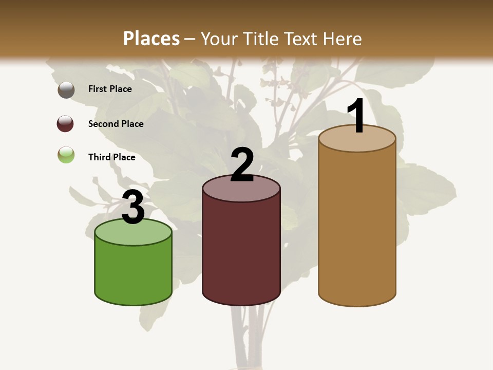 Ayurvedic Stem India PowerPoint Template