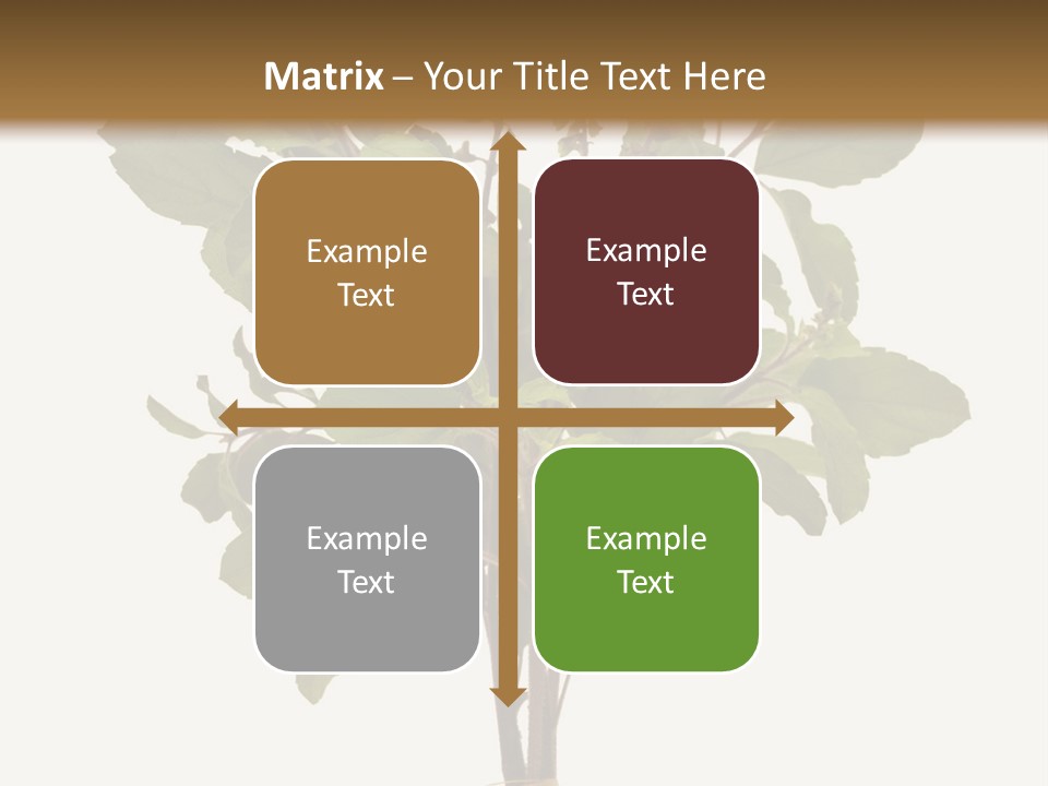 Ayurvedic Stem India PowerPoint Template