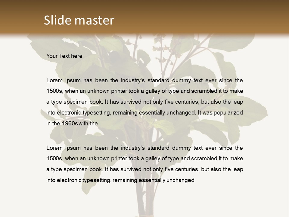 Ayurvedic Stem India PowerPoint Template