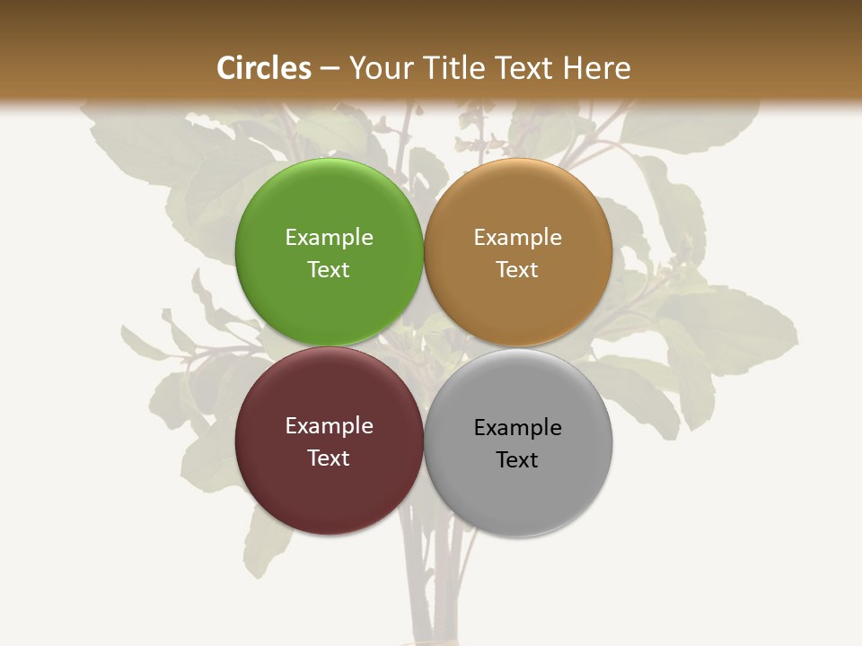 Ayurvedic Stem India PowerPoint Template