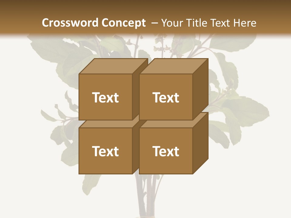 Ayurvedic Stem India PowerPoint Template