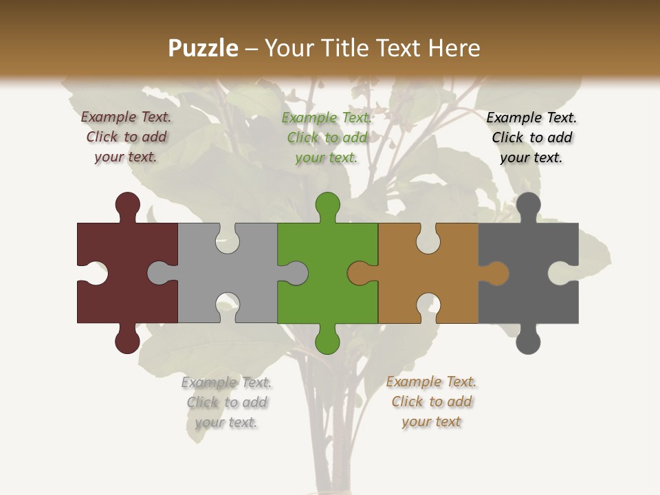 Ayurvedic Stem India PowerPoint Template