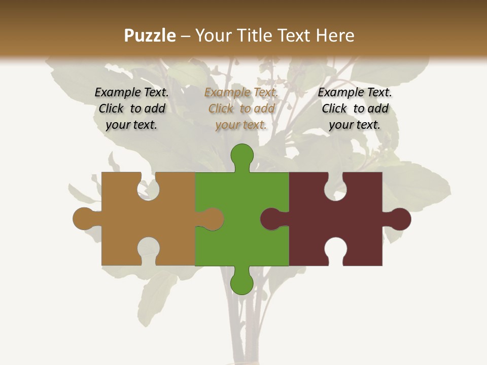 Ayurvedic Stem India PowerPoint Template