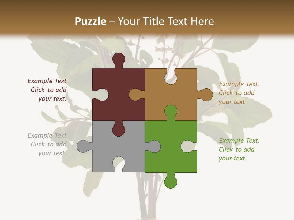 Ayurvedic Stem India PowerPoint Template