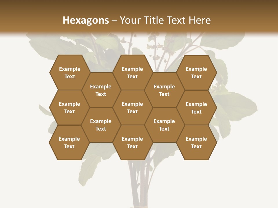 Ayurvedic Stem India PowerPoint Template