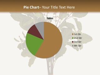 Ayurvedic Stem India PowerPoint Template