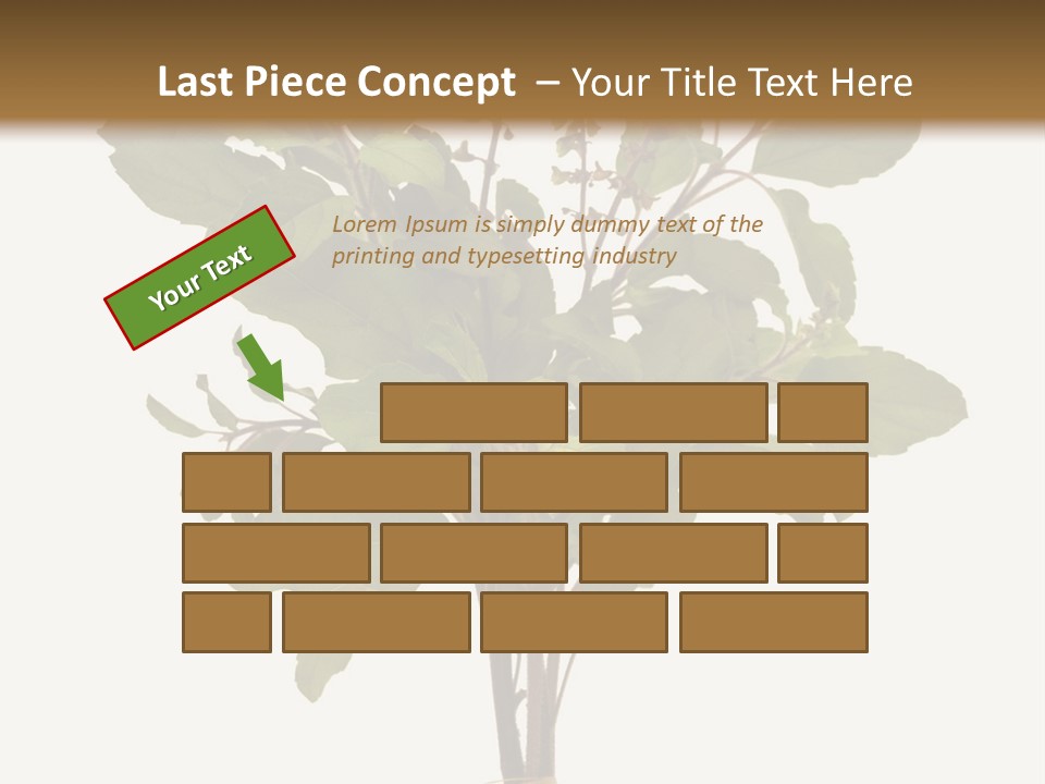 Ayurvedic Stem India PowerPoint Template