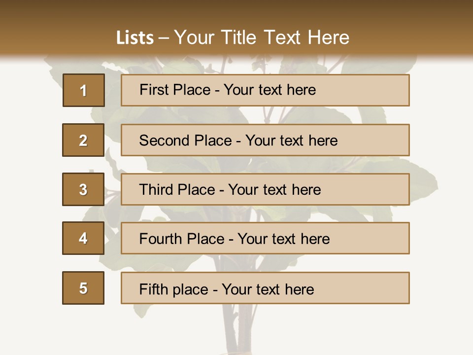 Ayurvedic Stem India PowerPoint Template