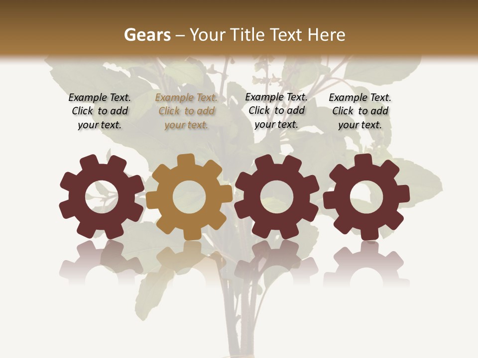 Ayurvedic Stem India PowerPoint Template