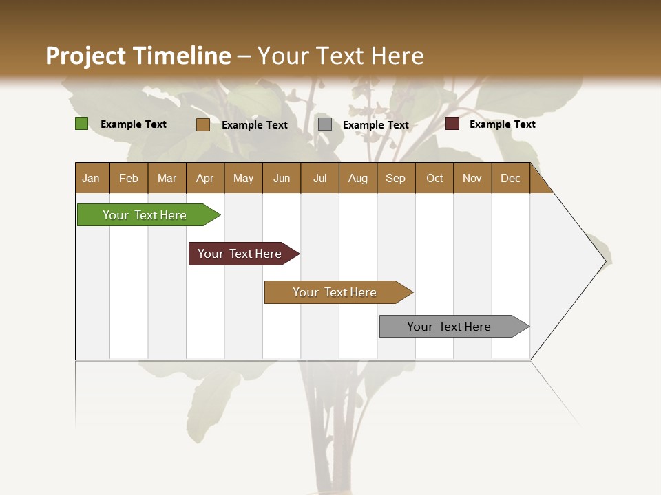 Ayurvedic Stem India PowerPoint Template
