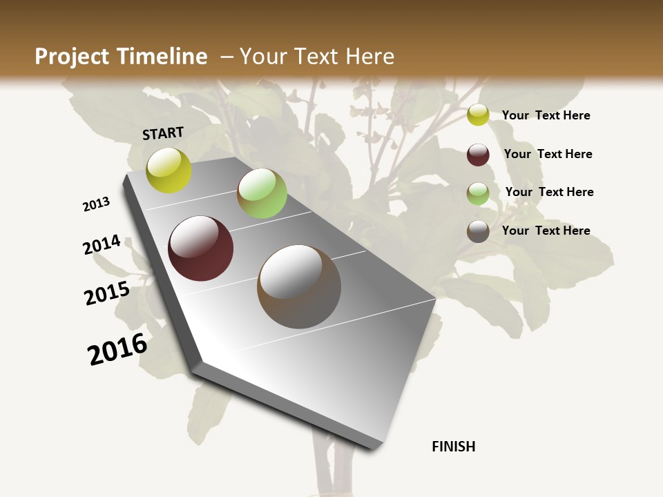 Ayurvedic Stem India PowerPoint Template