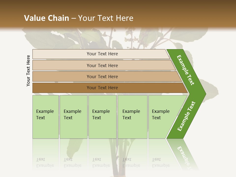 Ayurvedic Stem India PowerPoint Template