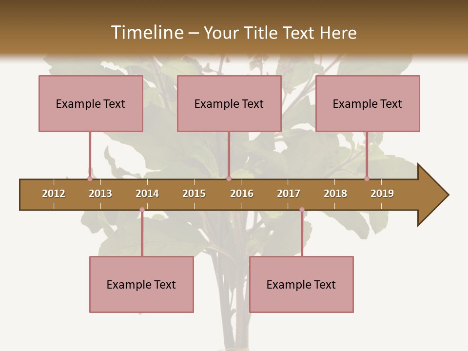 Ayurvedic Stem India PowerPoint Template