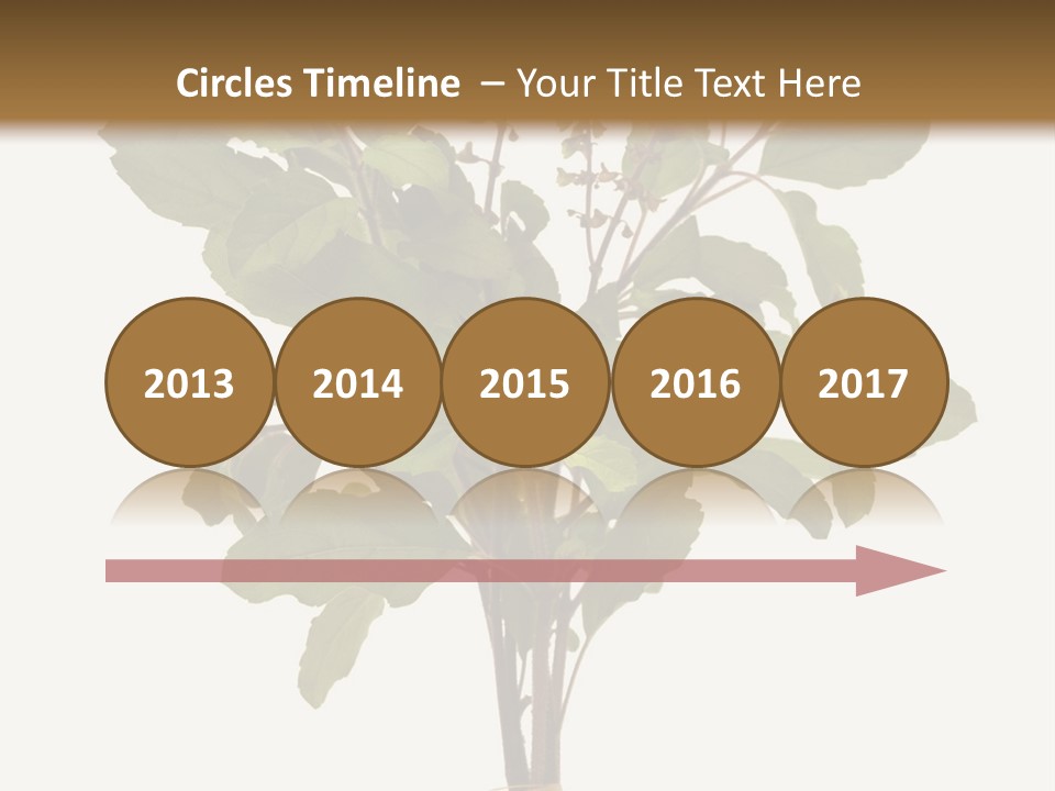 Ayurvedic Stem India PowerPoint Template