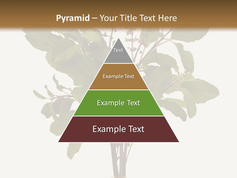Ayurvedic Stem India PowerPoint Template