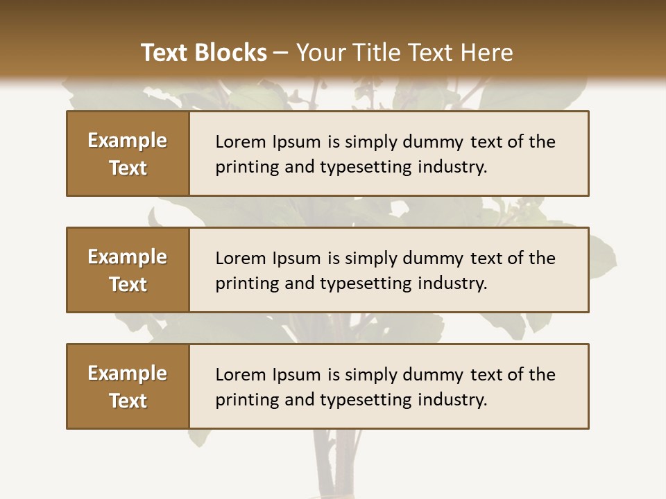 Ayurvedic Stem India PowerPoint Template