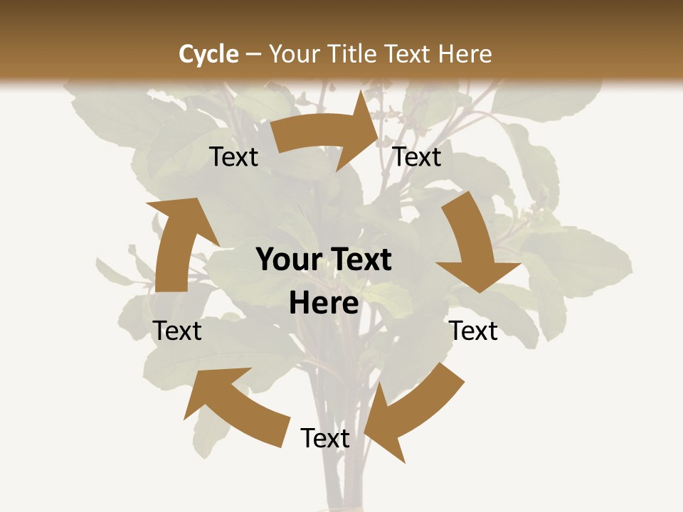 Ayurvedic Stem India PowerPoint Template