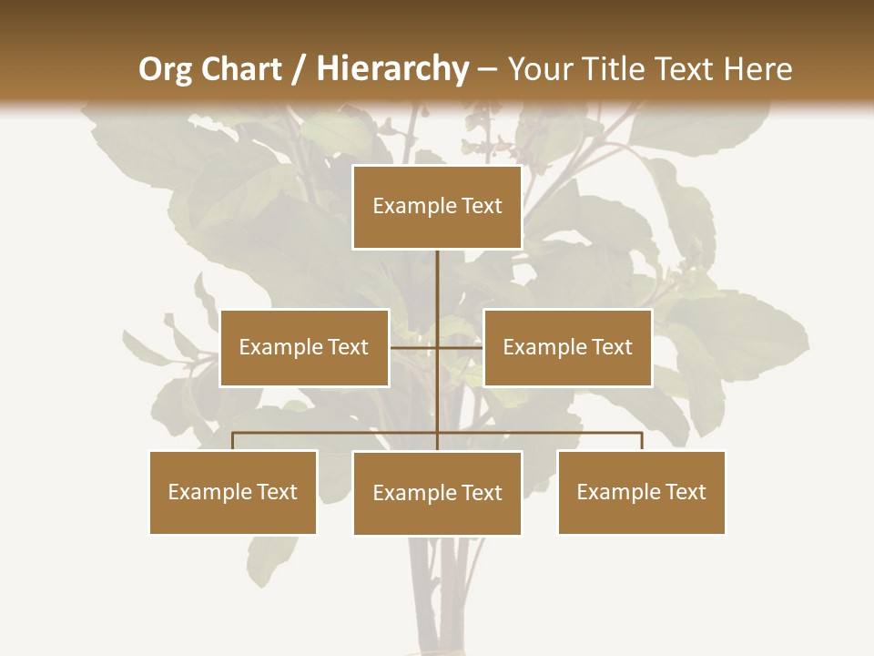 Ayurvedic Stem India PowerPoint Template