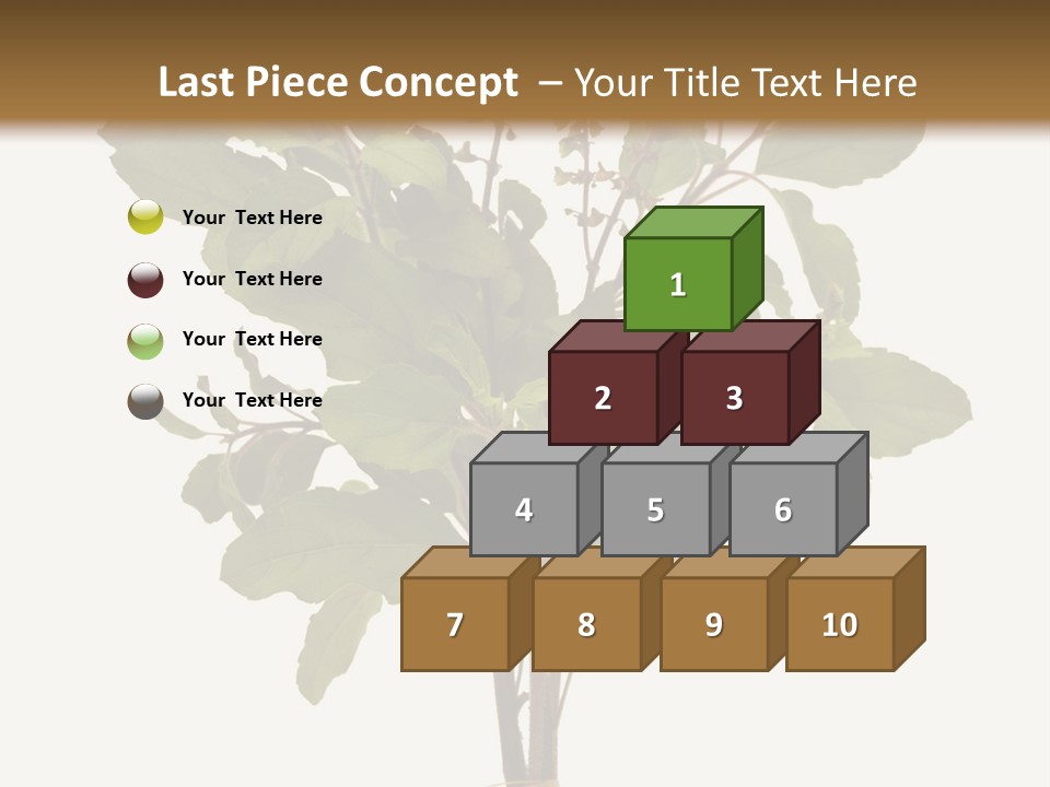 Ayurvedic Stem India PowerPoint Template