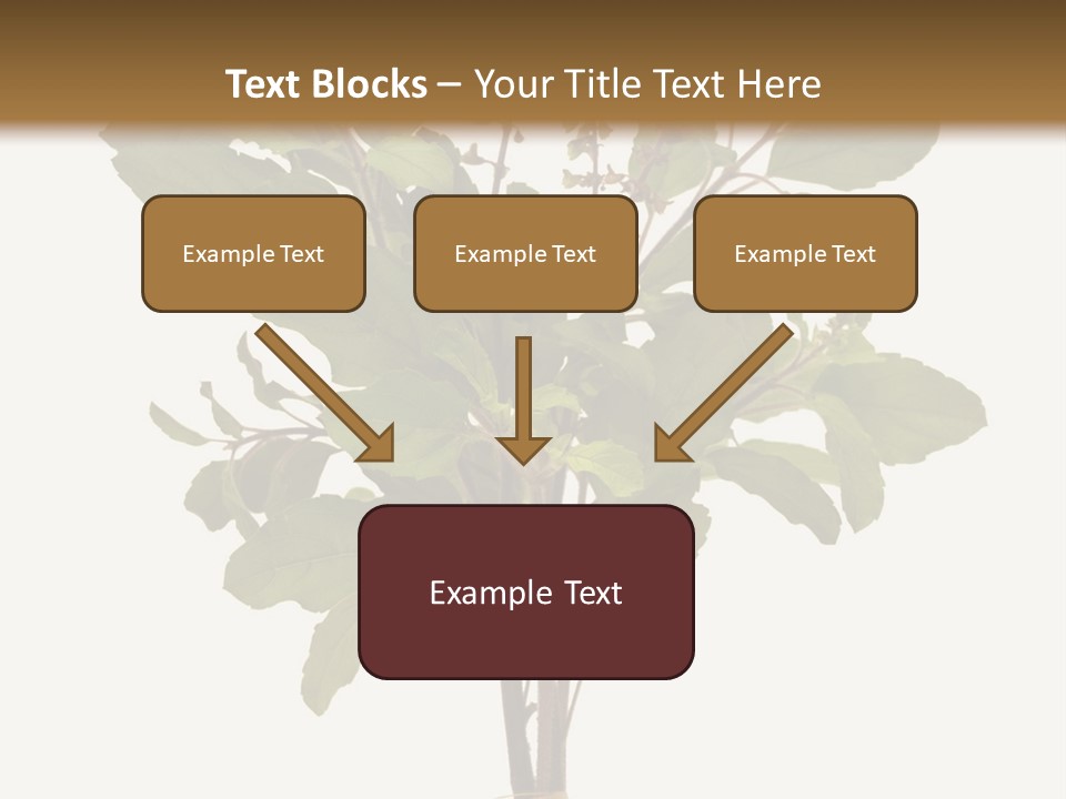 Ayurvedic Stem India PowerPoint Template