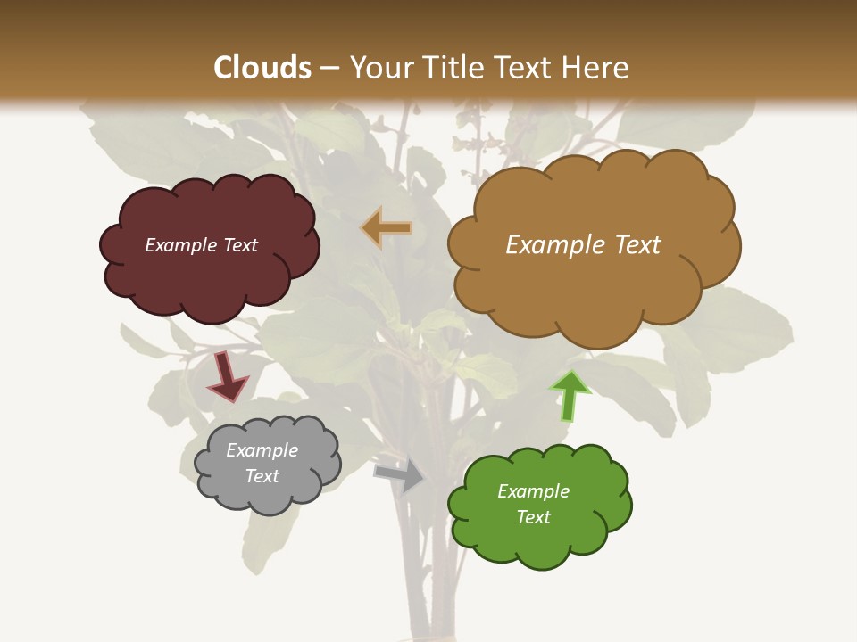 Ayurvedic Stem India PowerPoint Template