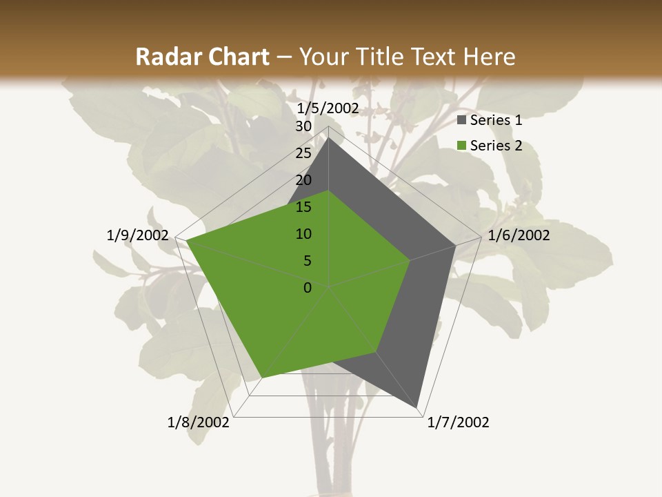 Ayurvedic Stem India PowerPoint Template