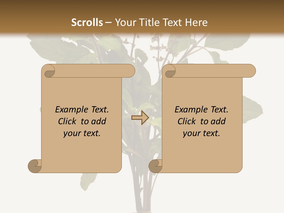 Ayurvedic Stem India PowerPoint Template