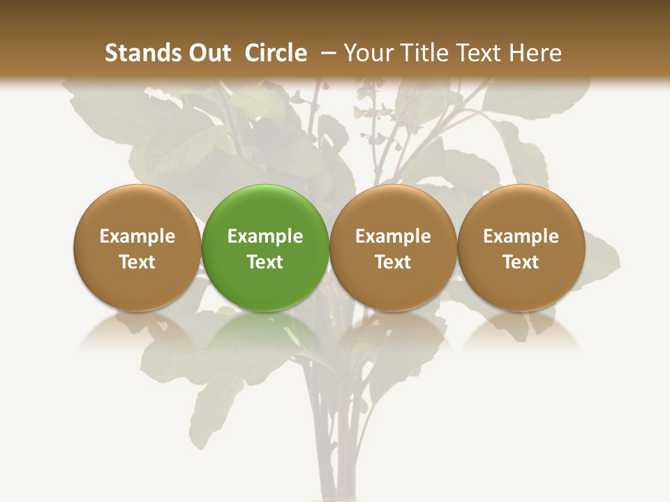 Ayurvedic Stem India PowerPoint Template