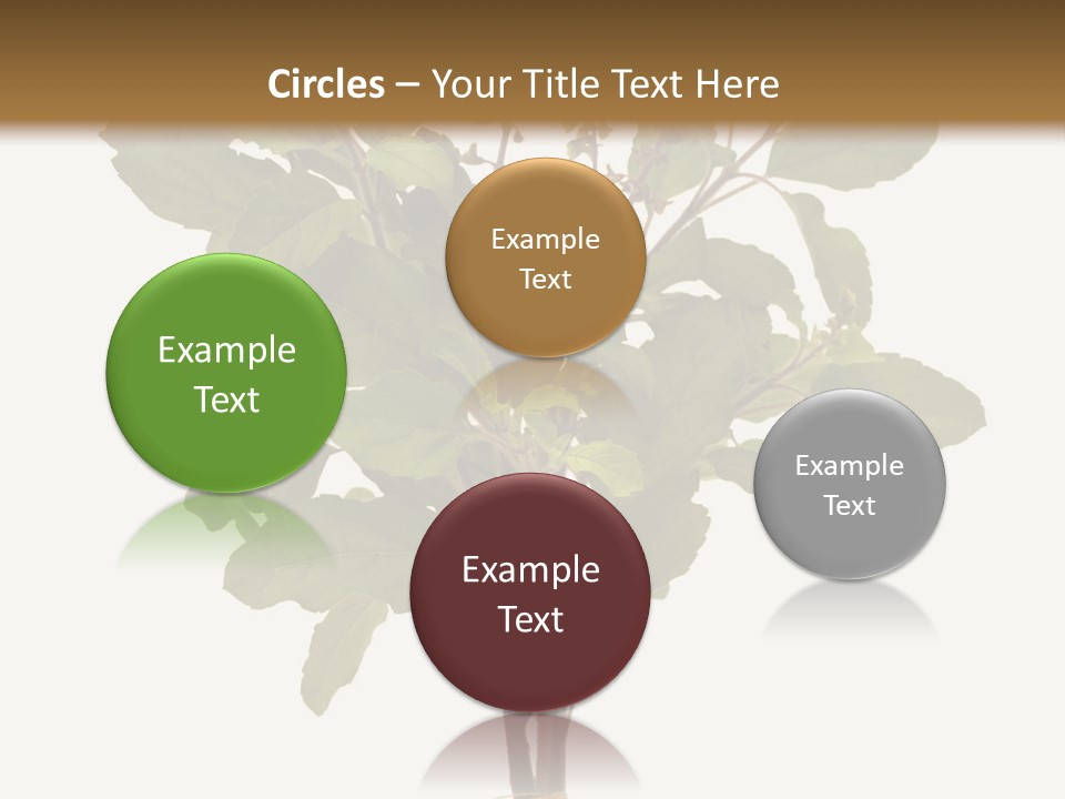 Ayurvedic Stem India PowerPoint Template